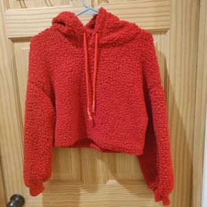 Teddy Red Cropped Hoodie